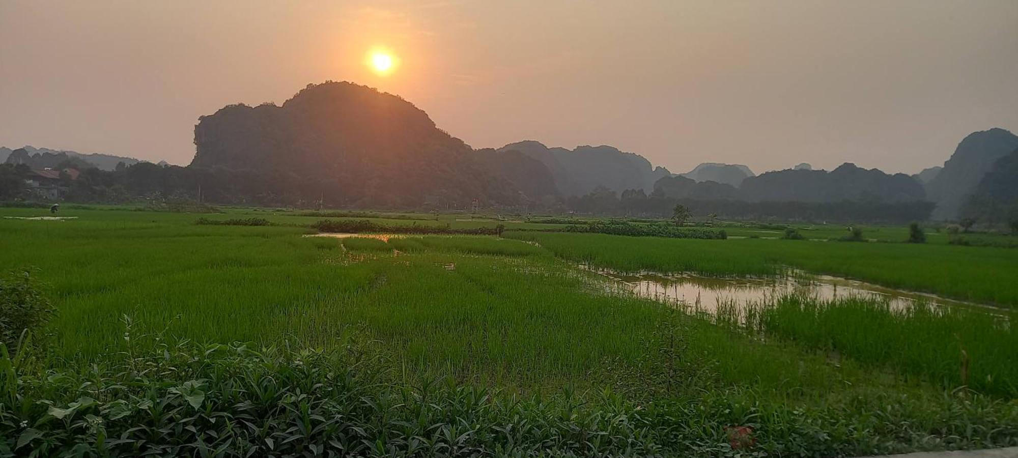Tam Coc Riverside Homestay Ninh Binh Eksteriør bilde