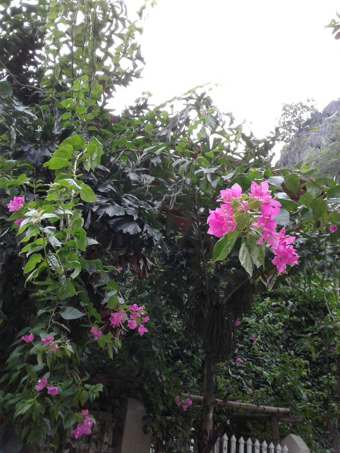 Tam Coc Riverside Homestay Ninh Binh Eksteriør bilde