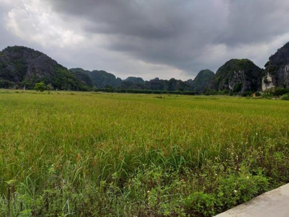 Tam Coc Riverside Homestay Ninh Binh Eksteriør bilde